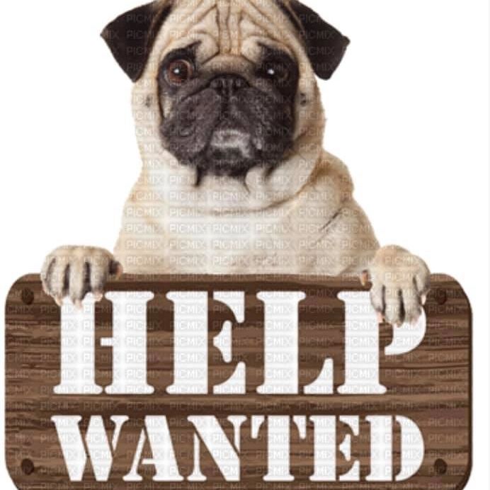 Humane Society of Calvert County