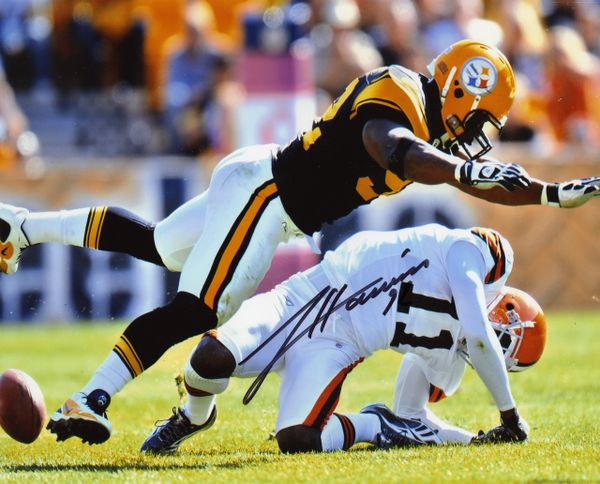 James Harrison - Pittsburgh Steelers signed 8x10 photo