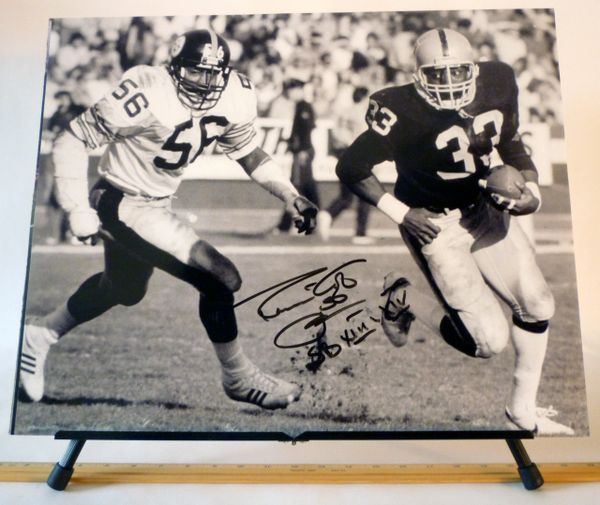Robin Cole, Pittsburgh Steelers signed 16x20 photo