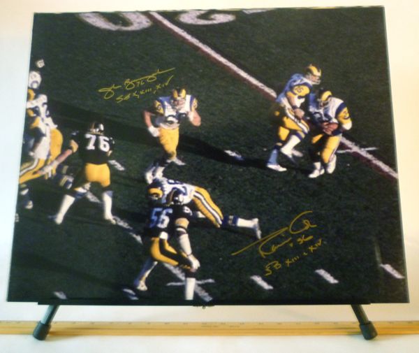 John Banaszak & Robin Cole, Pittsburgh Steelers signed 16x20 photo