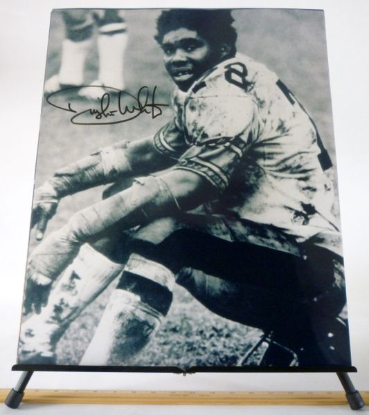 Dwight White, Pittsburgh Steelers signed 16x20 photo