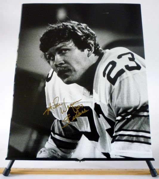 Mike Wagner, Pittsburgh Steelers signed 16x20 photo