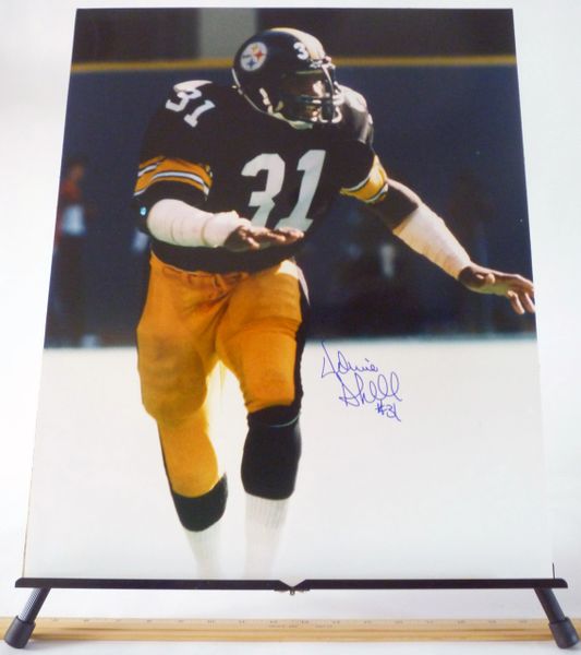 Donnie Shell, Pittsburgh Steelers signed 16x20 photo