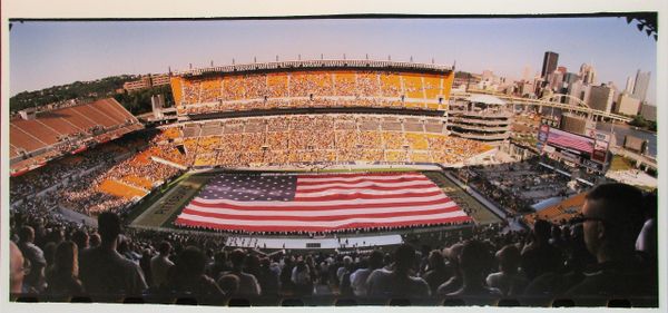 Heinz Field - Pitt Panthers football - 8x20 photo