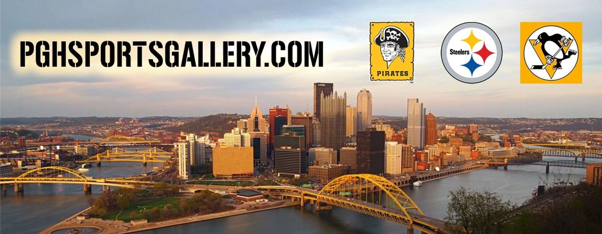 Bleachers Sports Music & Framing — Pittsburgh Steelers Authentic