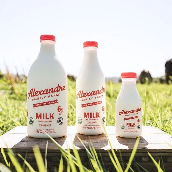 Regenerativ alligevel Male Alexandre Family Farm 6% Whole A2/A2 Cream Top Milk 28oz