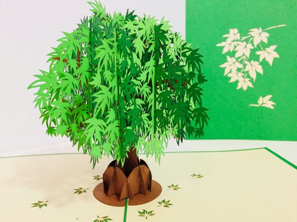 Japanese Maple Tree in Green Pop Up Greeting Card