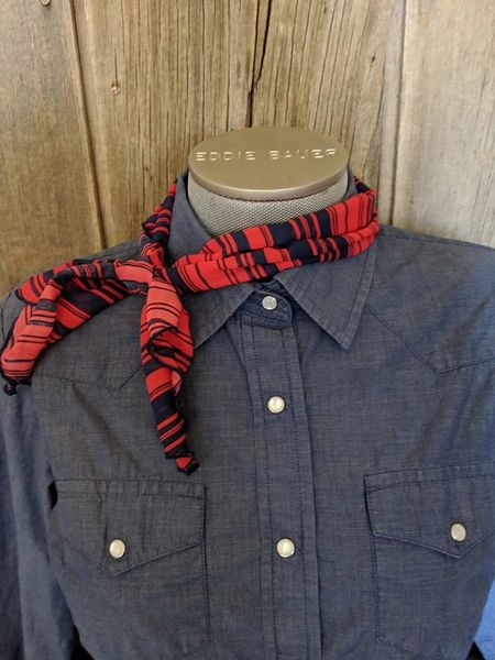 Roy Rogers scarf - red and blue strip print
