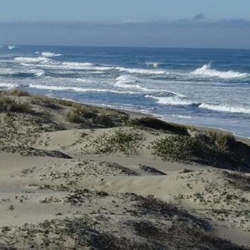 View from Surf Beach, California