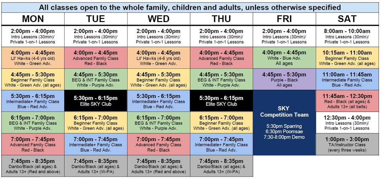 Programs Sky Martial Arts