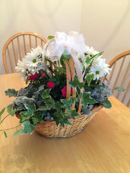 Dish Garden - basket