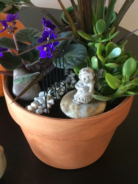 Fairy Garden - potted