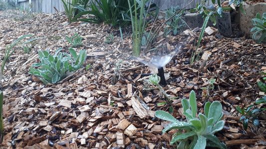 A micro spray sprinkler.