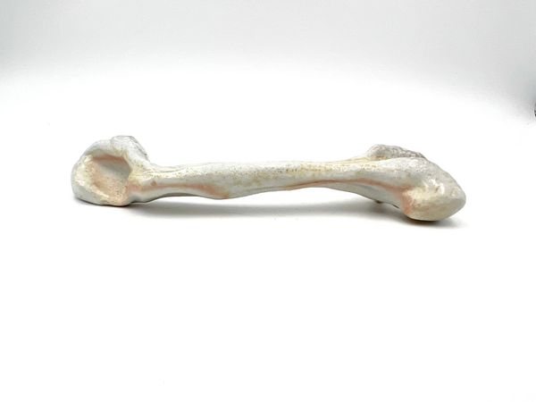 Bone-2