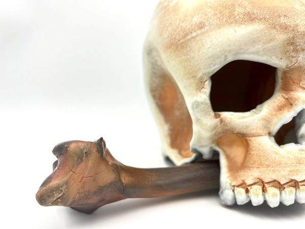 Skull & Bone