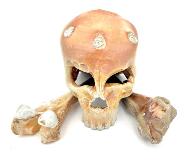 Skull & Two 1/2 Bones