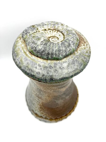 Ammonite Tower