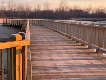 10-ton pile supported timber bridge with Lake County Forest Preserve Picket Handrail