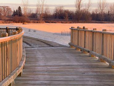 10-ton pile supported timber bridge with Lake County Forest Preserve Picket Handrail