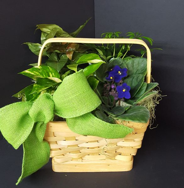 Spring Blooming Basket