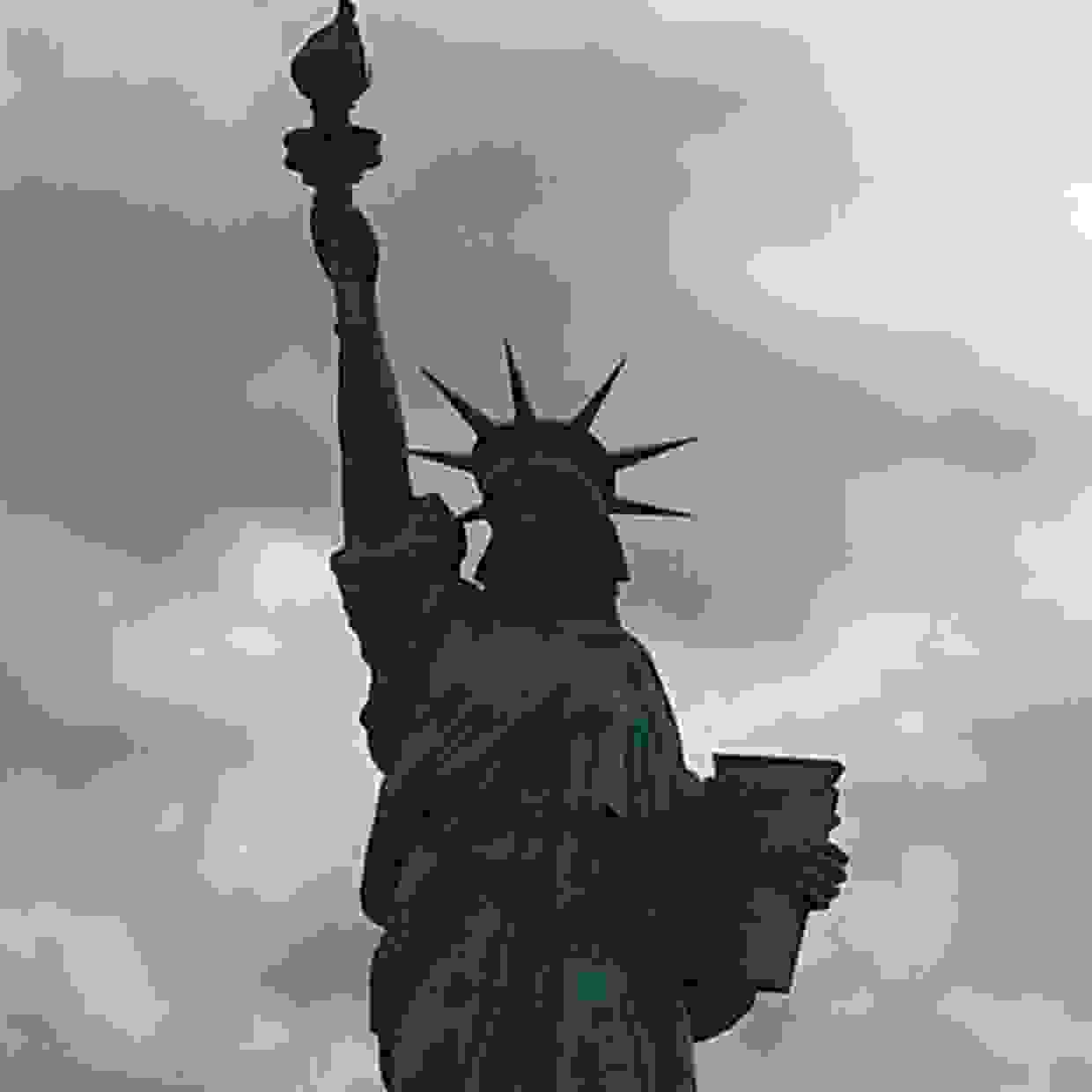 Brochure + Miracle Dressing Aid