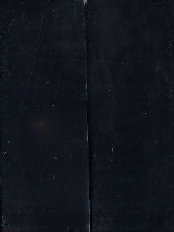 Buffalo Horn Scales~ "5 x 1.75 x .37"