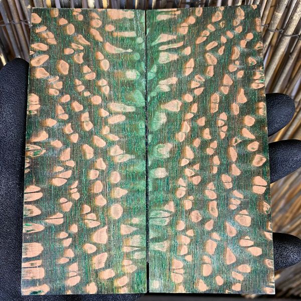 LESD120 - 5 x 2.05 x .3"