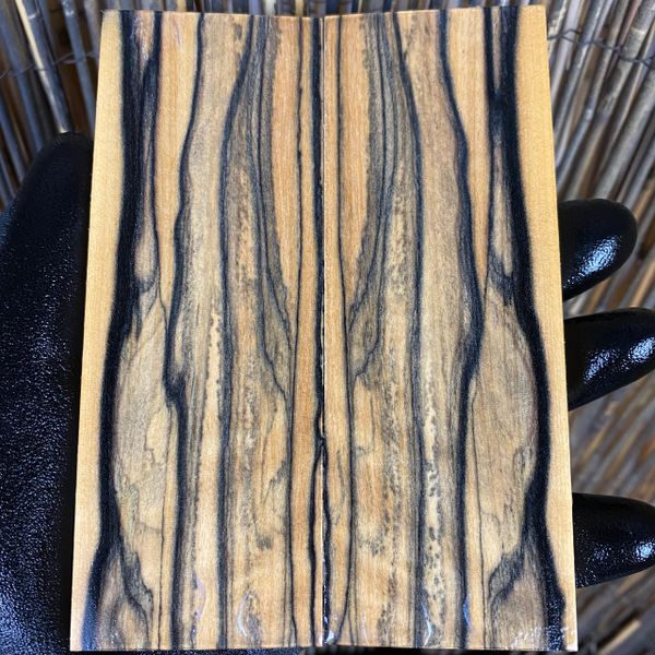 Black Ash Burl Knife Scales Arizona Ironwood LLC Knife & Gun Handle Supplier