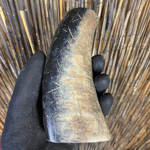 Buffalo Horn Raw Handle- "5.1 x 1.6 x 1.14"