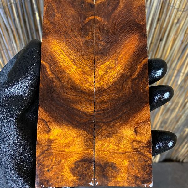 IWSF153 - 5.6 x 1.57 x .37”