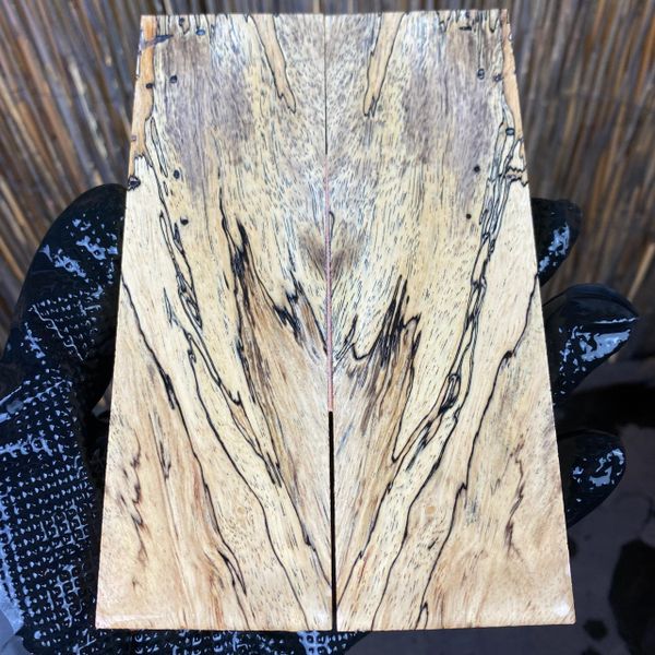 TAMS100 - 6 x 1.94 x .4”