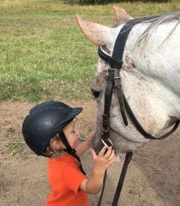 2-year-old girl reaching out to pet the muzzle of a POA mare.
