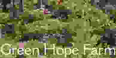 Green Hope Farm
