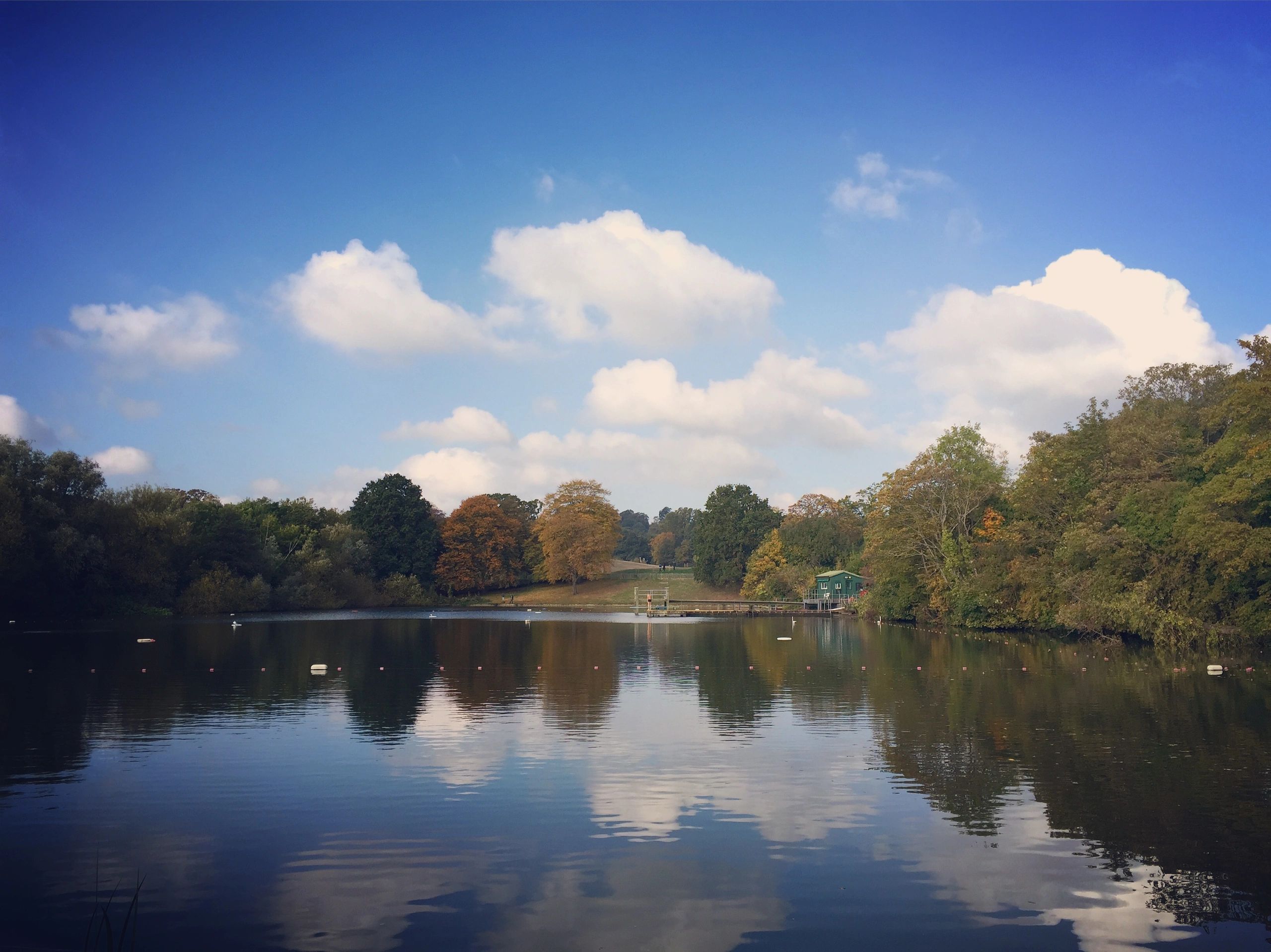 Highgate Men's Pond Association