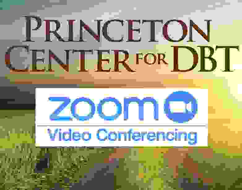 TeleMedicine Video Portal | Princeton Center for DBT and ...
