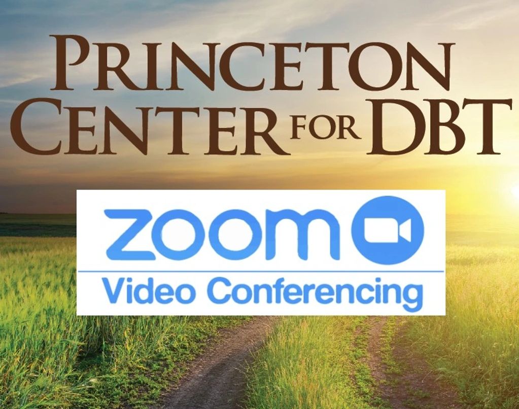 TeleMedicine Video Portal | Princeton Center for DBT