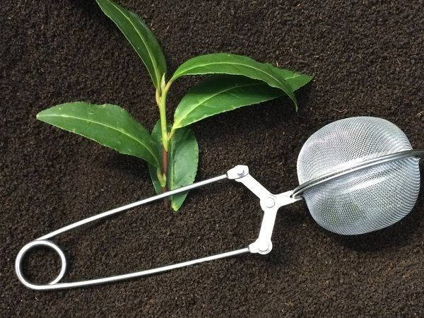 Tea Infuser