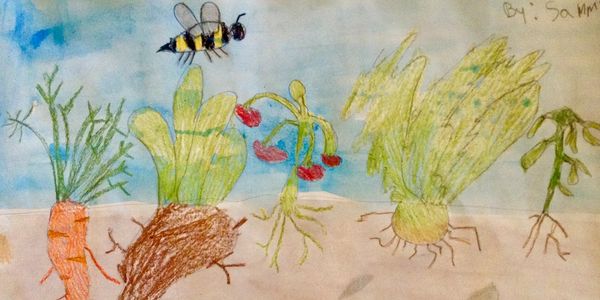 Vegetable garden watercolor painting by a junior gardener