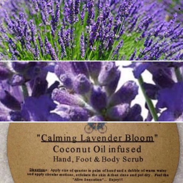 “ African and Bulgarian Lavender” All Natural Pure Oil Infused Hand Foot & Body Scrub 8oz