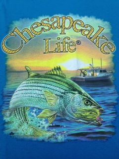 chesapeake life, striped bass shirt, rockfish shirt