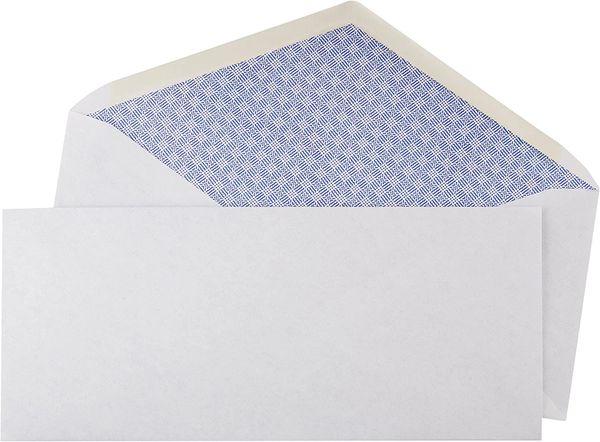 #10 Security Lined Letter Size Envelopes, 25