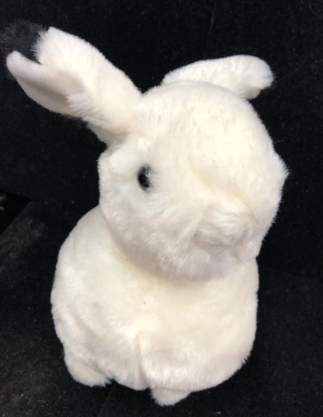 White Bunny Rabbit Plush, 8in - Easter