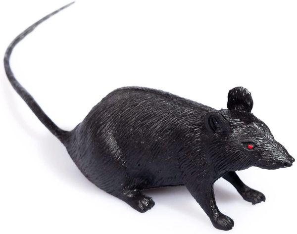 BOGO SALE - Black Mouse Prank, 4in - Halloween Sale - Purim