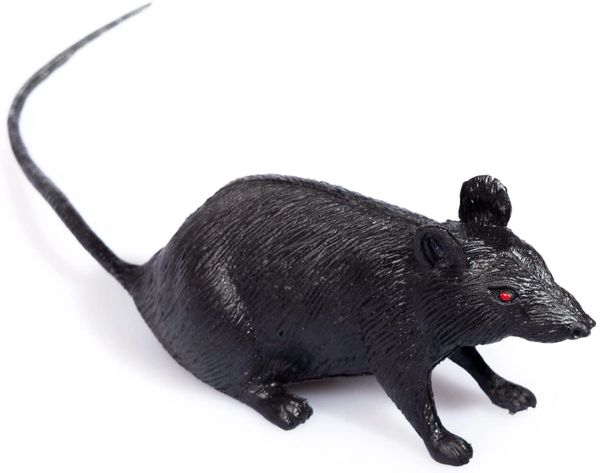 Black Mouse Prank, 4in - Halloween Decoration