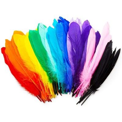 Medium Assorted Color Satiety Goose Quill, Feathers, 40pcs