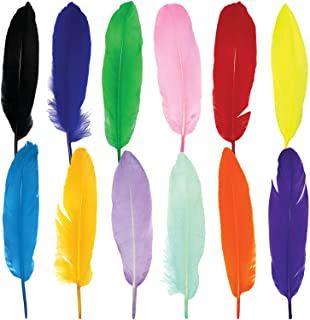 Large Assorted Color Satiety Goose Quill, Feathers, 50pcs