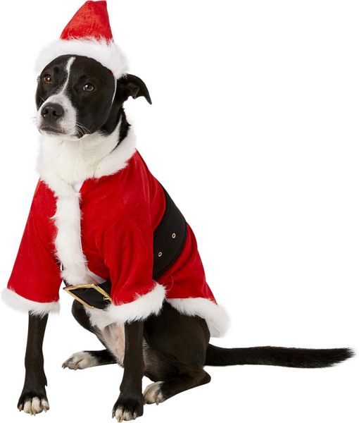 SALE - Santa Clause Dog Costume, Pet Costume, Red - Christmas Holiday - Halloween Sale - under $20
