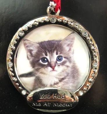 *You Had Me at Meow, Cat Picture Frame Christmas Ornament, 3in - Holiday Novelty Gifts