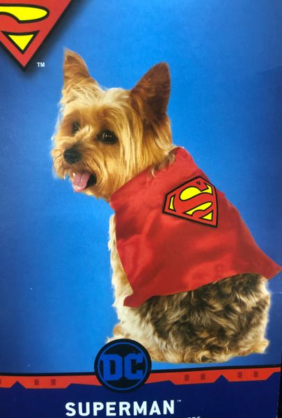 Superman Dog Cape, Pet Accessory - Halloween Spirit - under $20