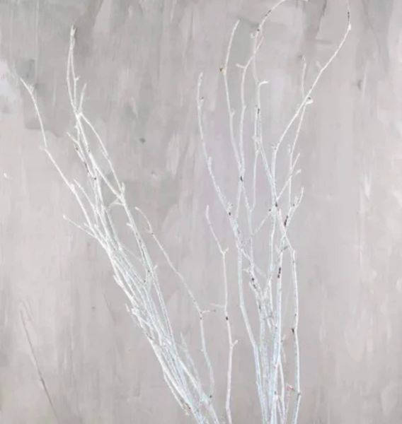 White Glitter Branches, 24in - Winter Decorations